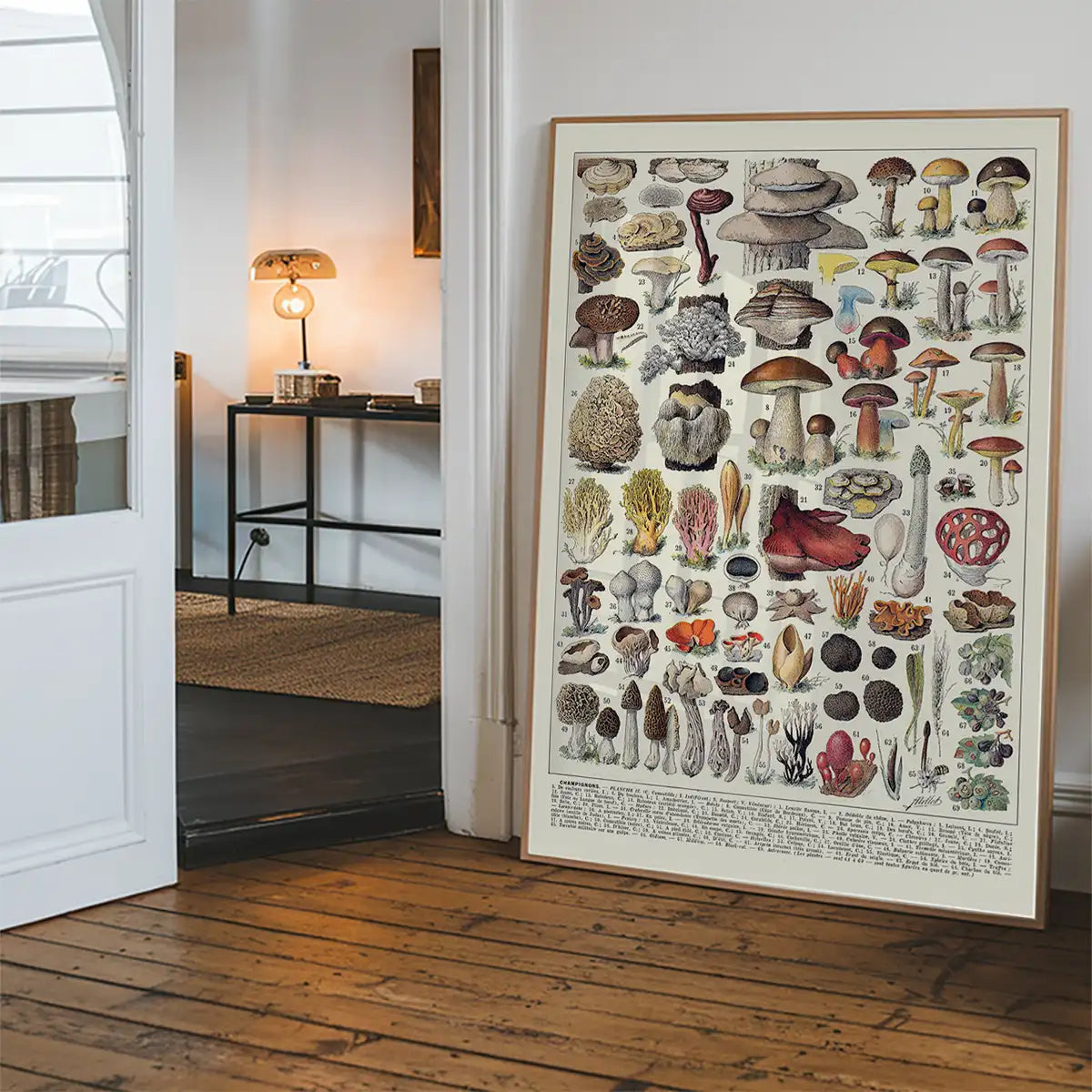 Vintage Mushrooms Chart Poster 2
