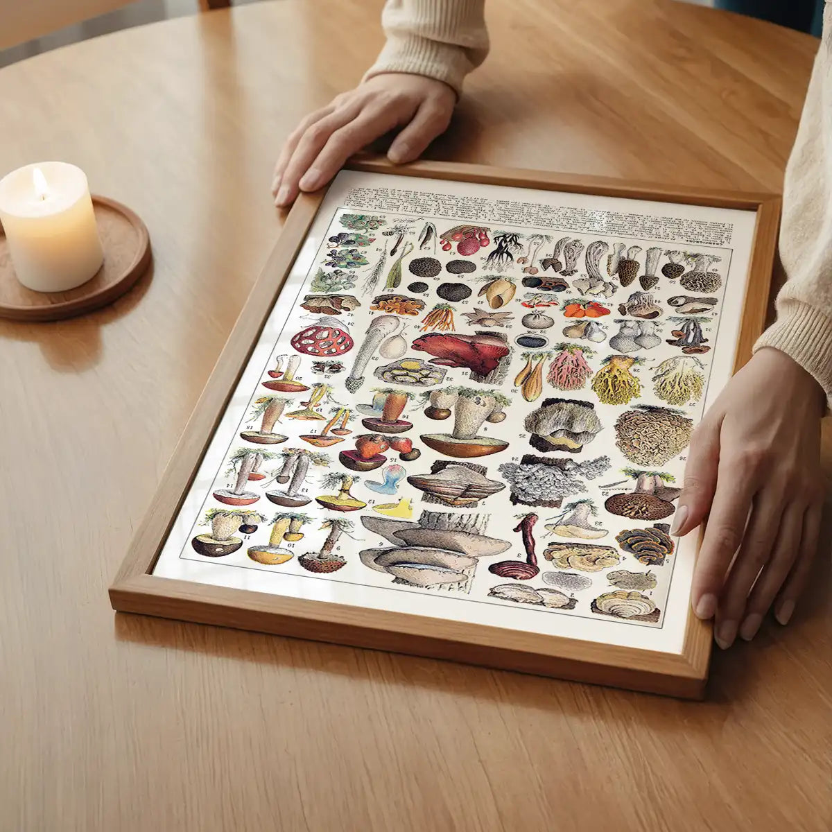 Vintage Mushrooms Chart Poster 2