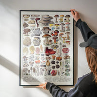 Vintage Mushrooms Chart Poster 2
