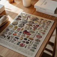 Vintage Mushrooms Chart Poster 2