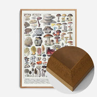 Vintage Mushrooms Chart Poster 2