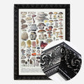 Black Ornate Frame