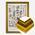 Gold Ornate Frame