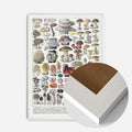 White Wood Frame