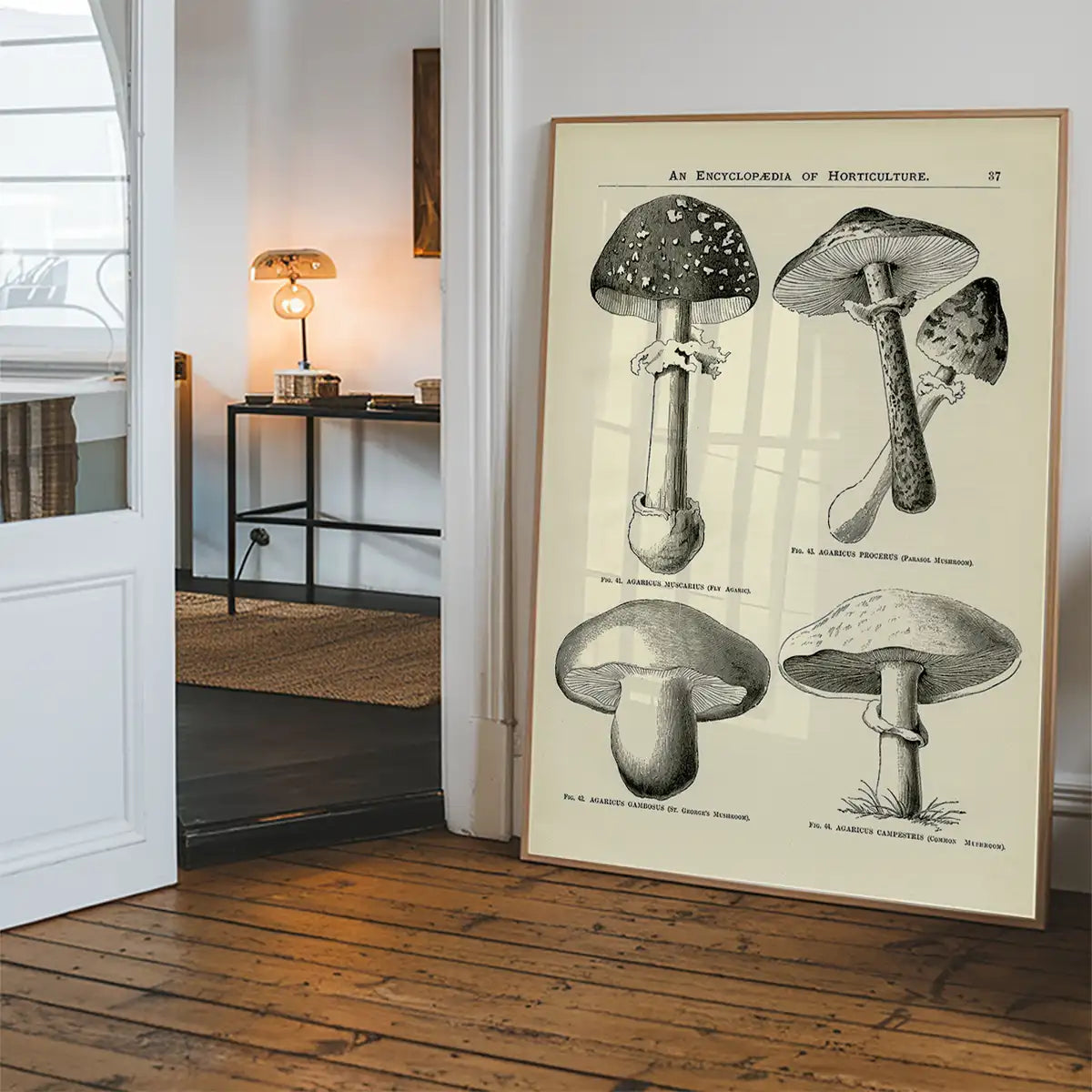 Vintage Black and White Mushrooms - Encyclopaedia Of Horticulture