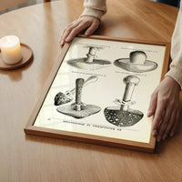 Vintage Black and White Mushrooms - Encyclopaedia Of Horticulture