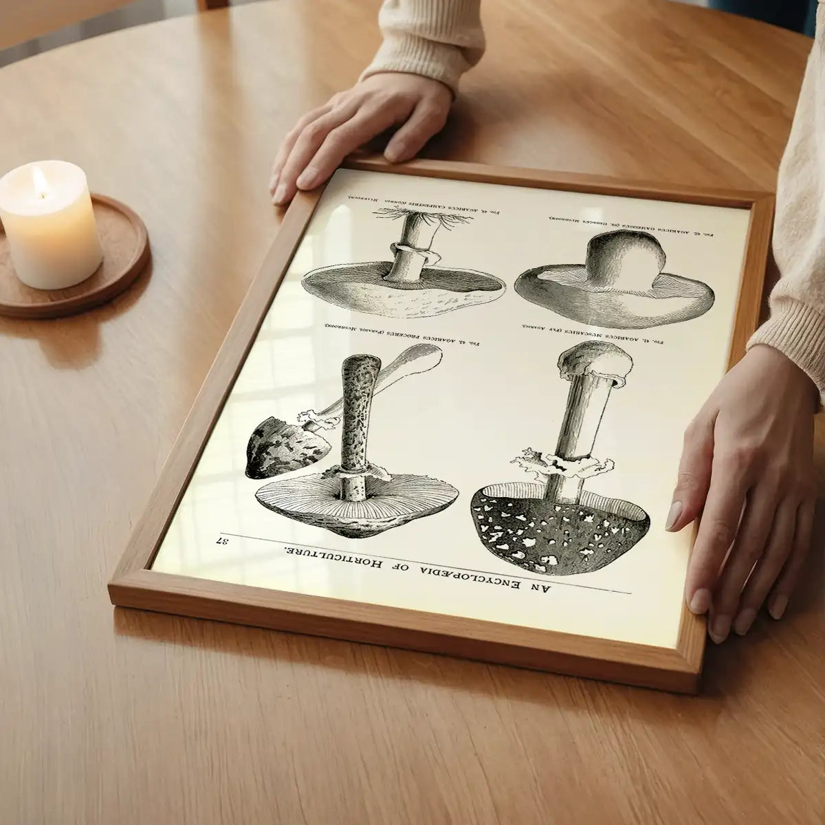 Vintage Black and White Mushrooms - Encyclopaedia Of Horticulture