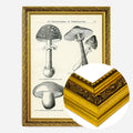 Gold Ornate Frame