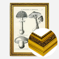 Vintage Black and White Mushrooms - Encyclopaedia Of Horticulture