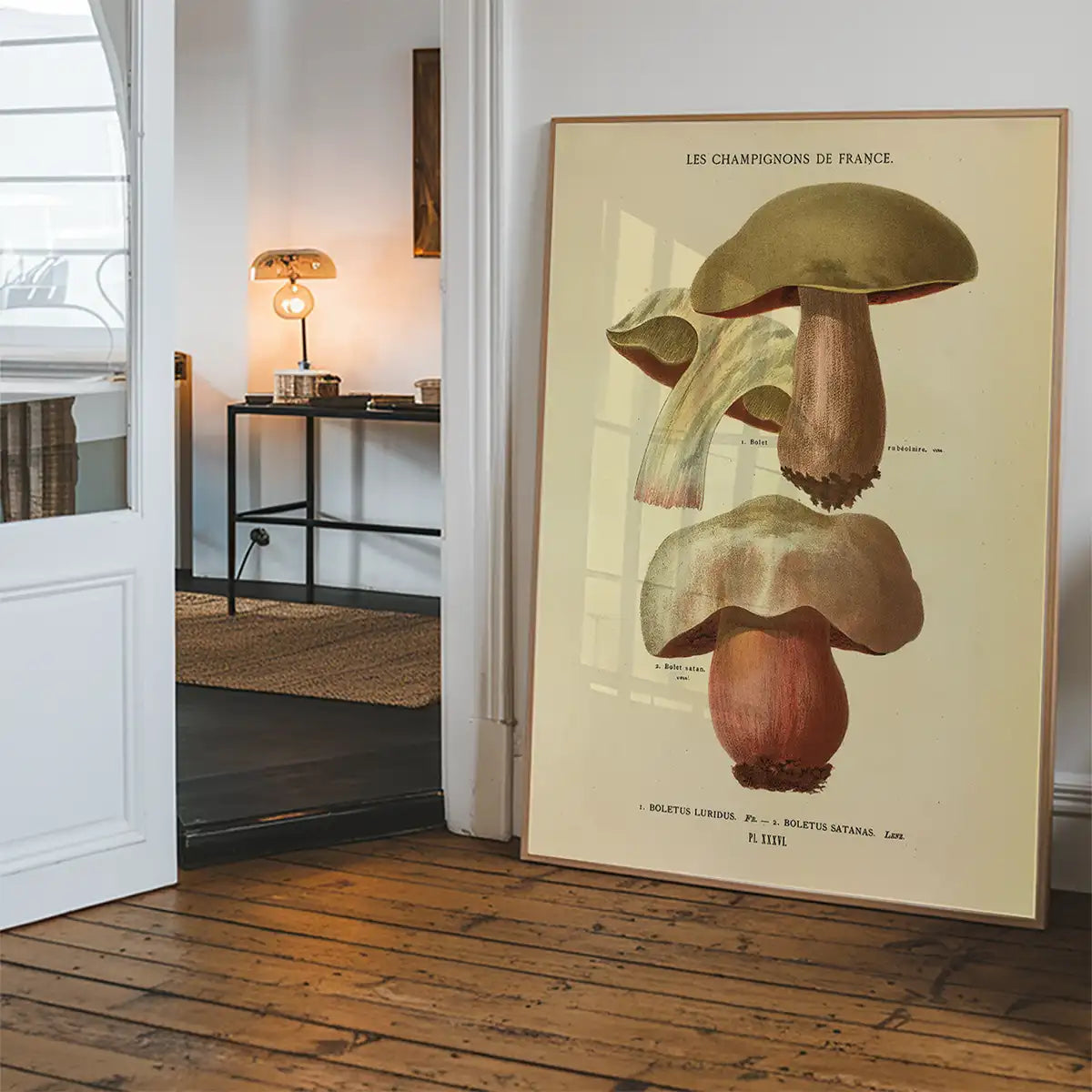 Les Champignons De France - Boletus Luridus