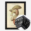 Black Ornate Frame
