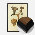 Black Wood Frame