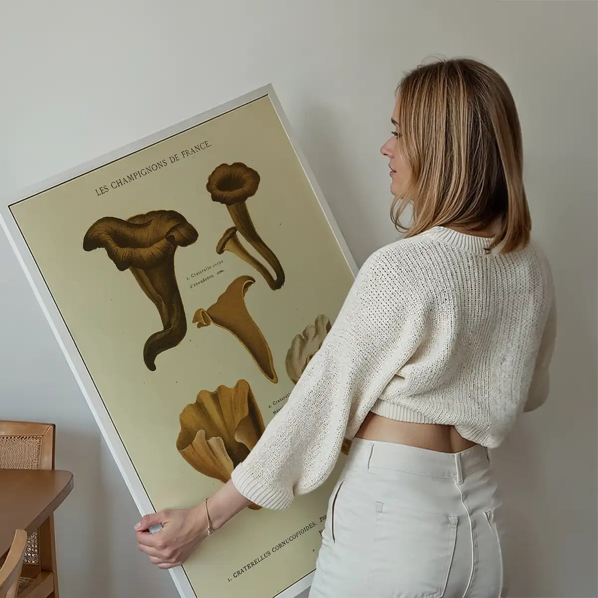 Les Champignons De France - Craterellus Cornucopioides