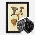 Black Ornate Frame