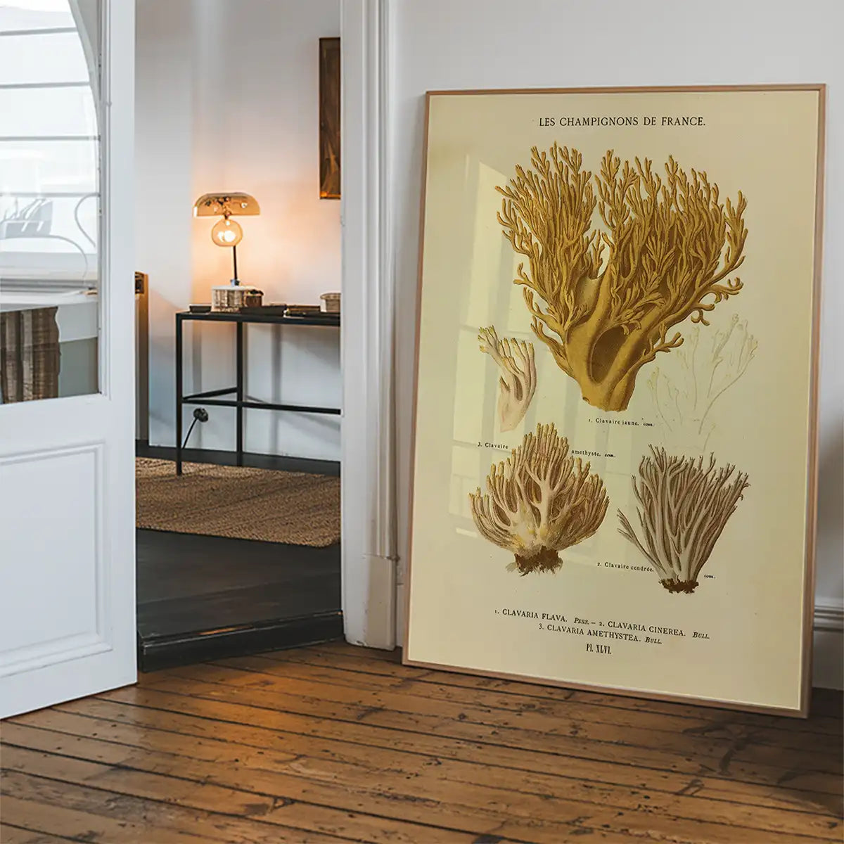 Les Champignons De France - Clavaria Flava