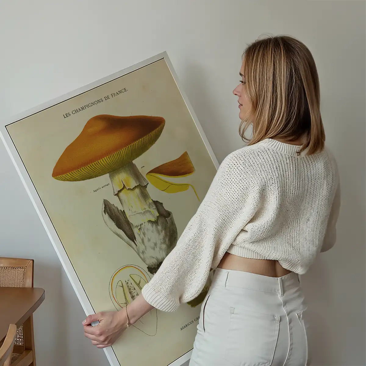 Les Champignons De France - Agaricus Caesareus