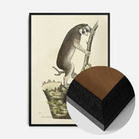 Vintage Lemur Illustration Bird Print