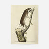 Vintage Lemur Illustration Bird Print