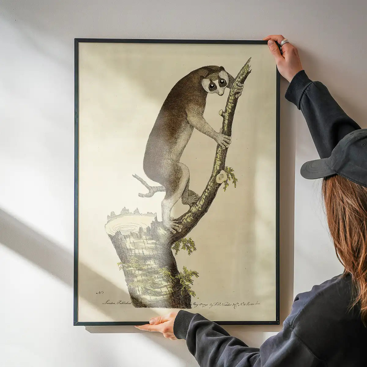 Vintage Lemur Illustration Bird Print