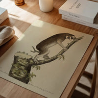 Vintage Lemur Illustration Bird Print