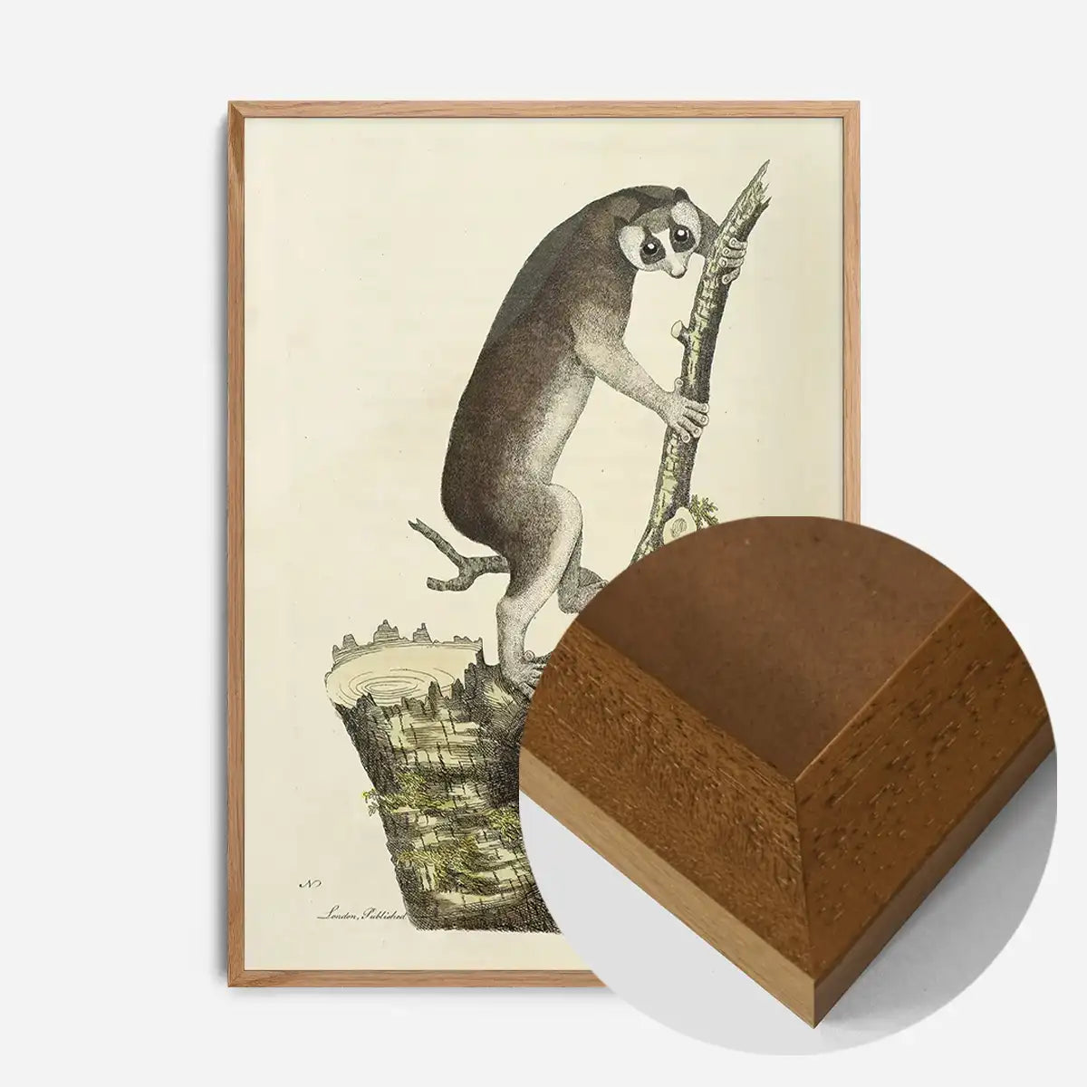 Vintage Lemur Illustration Bird Print
