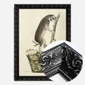 Black Ornate Frame
