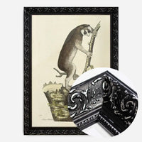 Vintage Lemur Illustration Bird Print