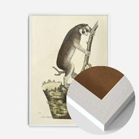 Vintage Lemur Illustration Bird Print