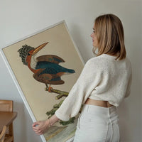 Vintage Crested Kingfisher Bird Print