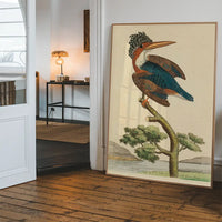 Vintage Crested Kingfisher Bird Print