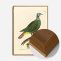 Oak Wood Frame