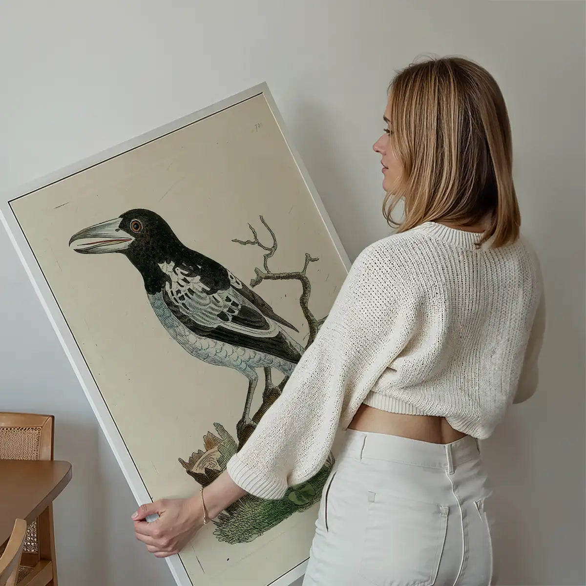 Vintage Pied Roller Bird Print