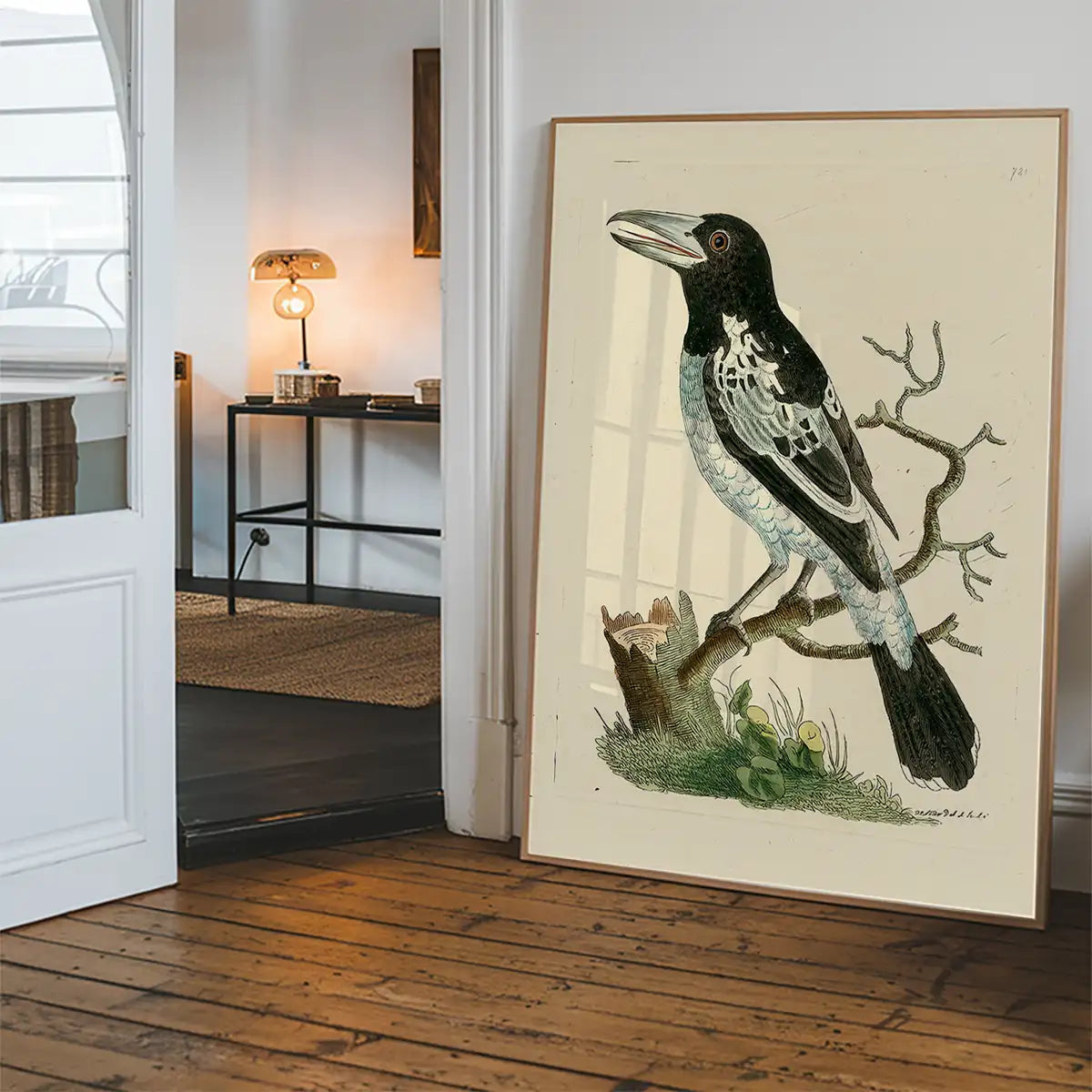 Vintage Pied Roller Bird Print