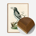Oak Wood Frame