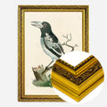 Gold Ornate Frame