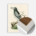 White Wood Frame