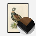 Black Wood Frame