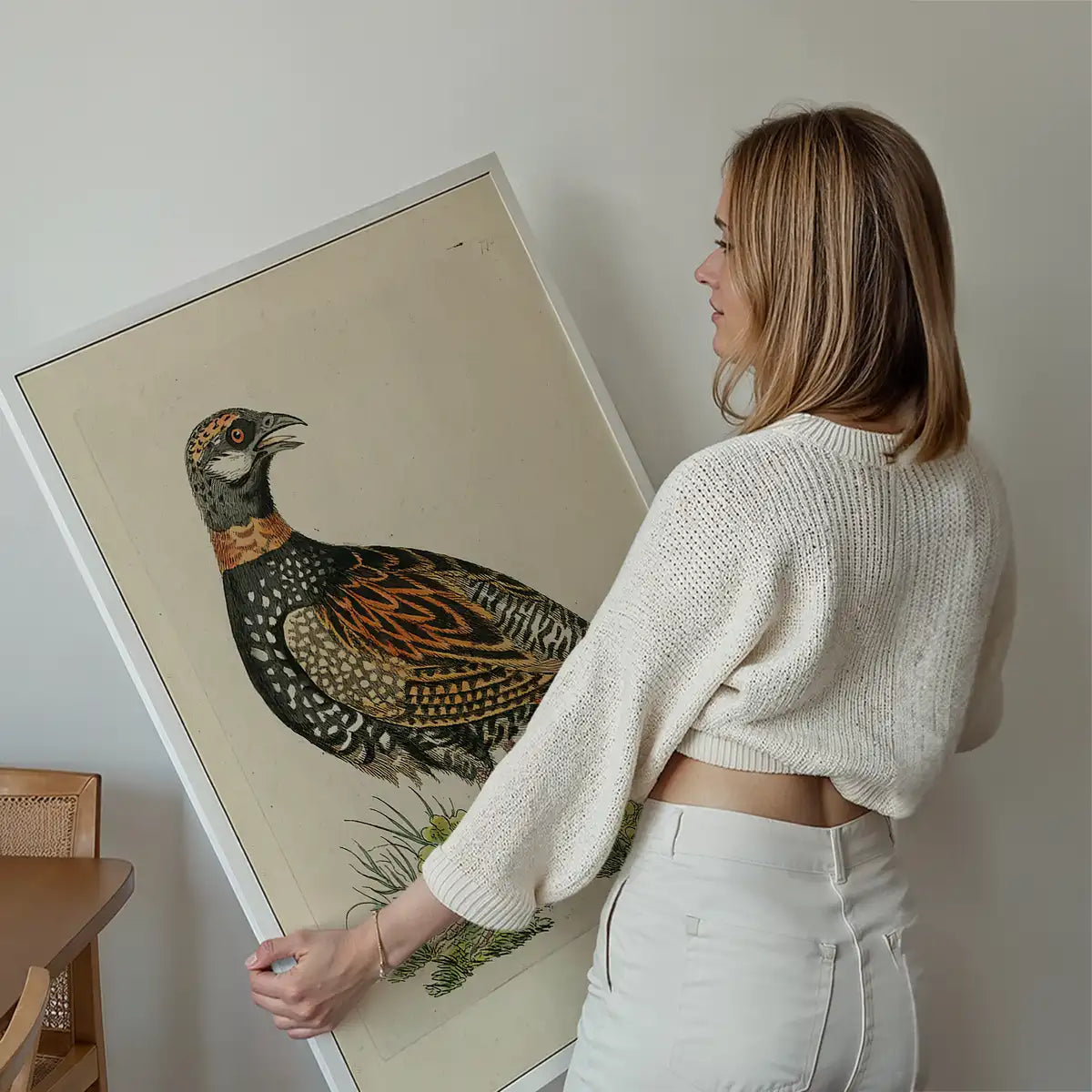 Vintage The Francolin Bird Print