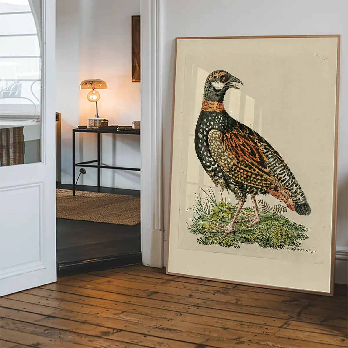 Vintage The Francolin Bird Print