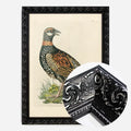 Black Ornate Frame