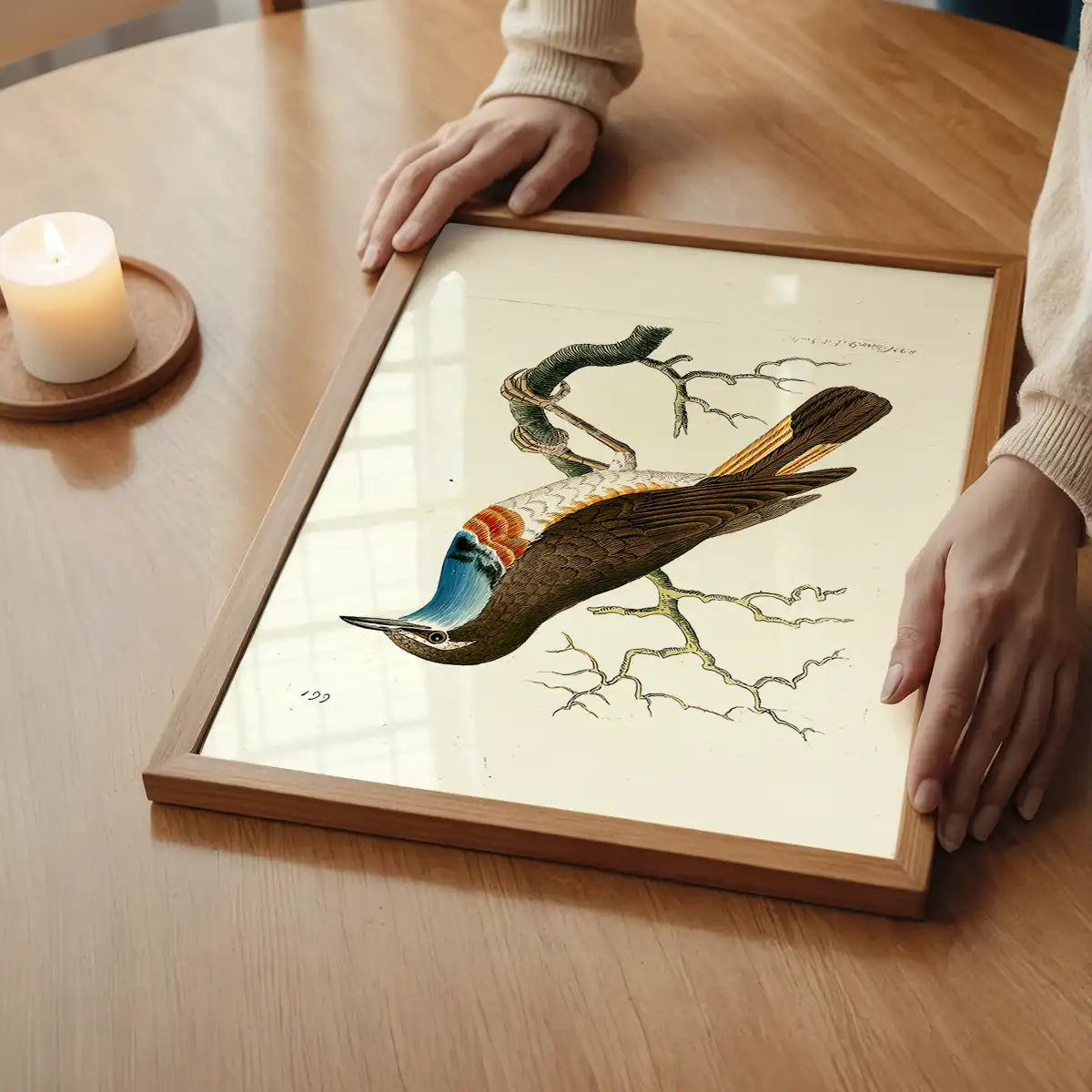 Vintage Swedish Red-Breast Bird Print