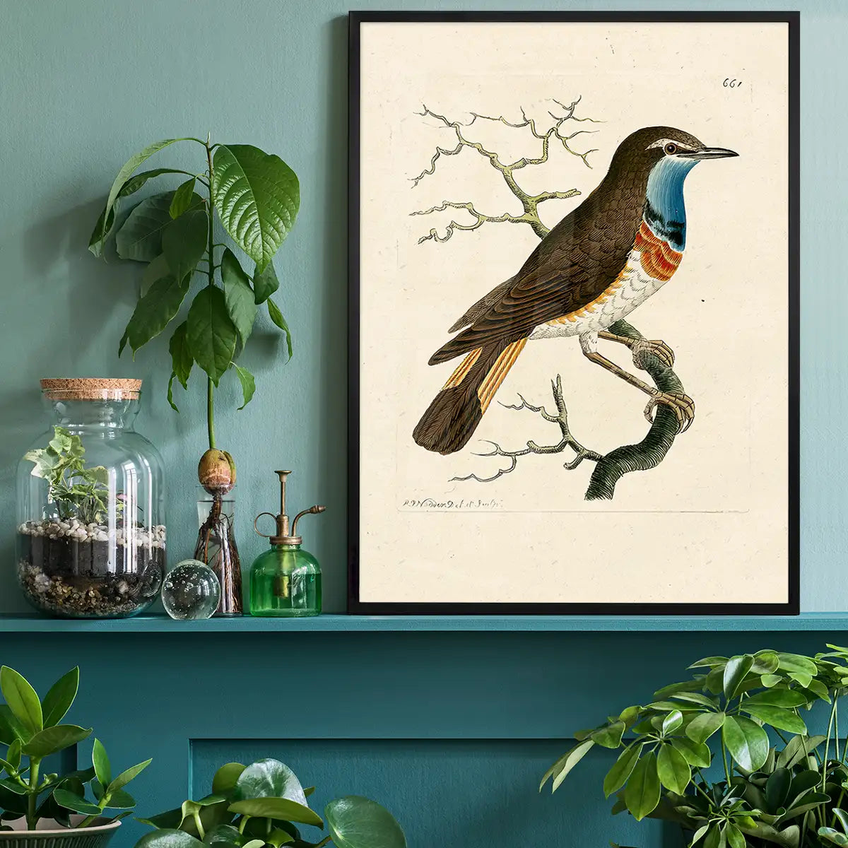 Vintage Swedish Red-Breast Bird Print