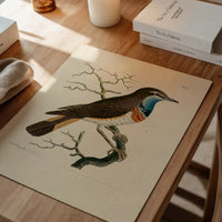 Vintage Swedish Red-Breast Bird Print