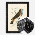 Black Ornate Frame