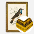Gold Ornate Frame