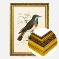Vintage Swedish Red-Breast Bird Print