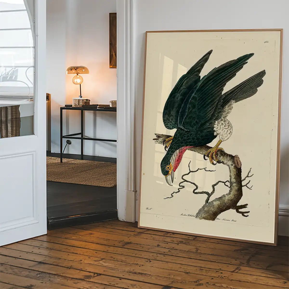Vintage Purple-Throated Falcon Bird Print