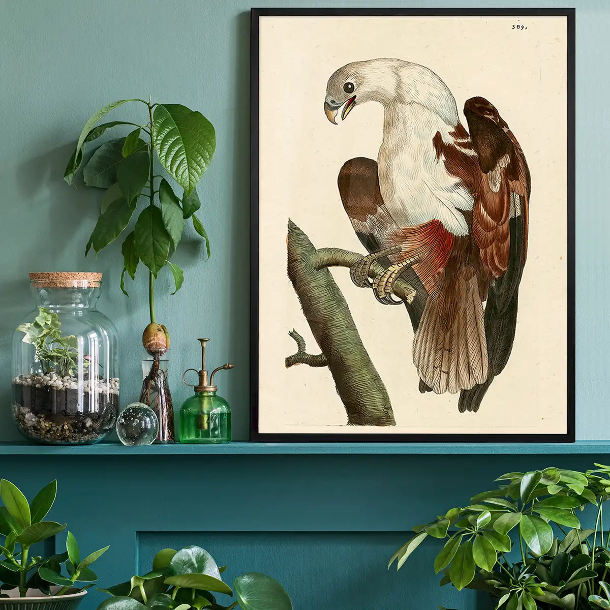 Vintage Pondicherry Eagle Bird Print