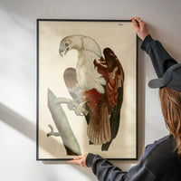 Vintage Pondicherry Eagle Bird Print