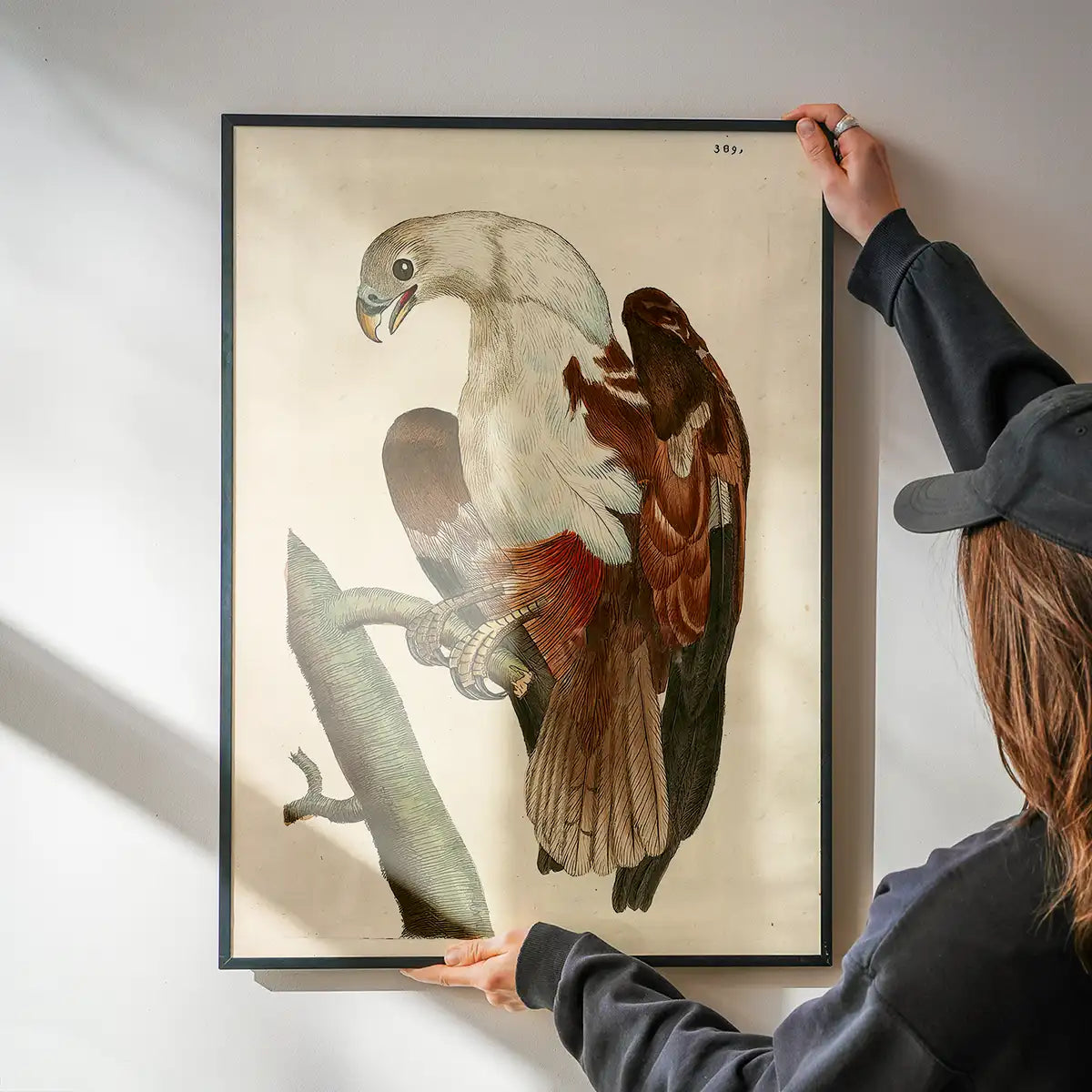 Vintage Pondicherry Eagle Bird Print